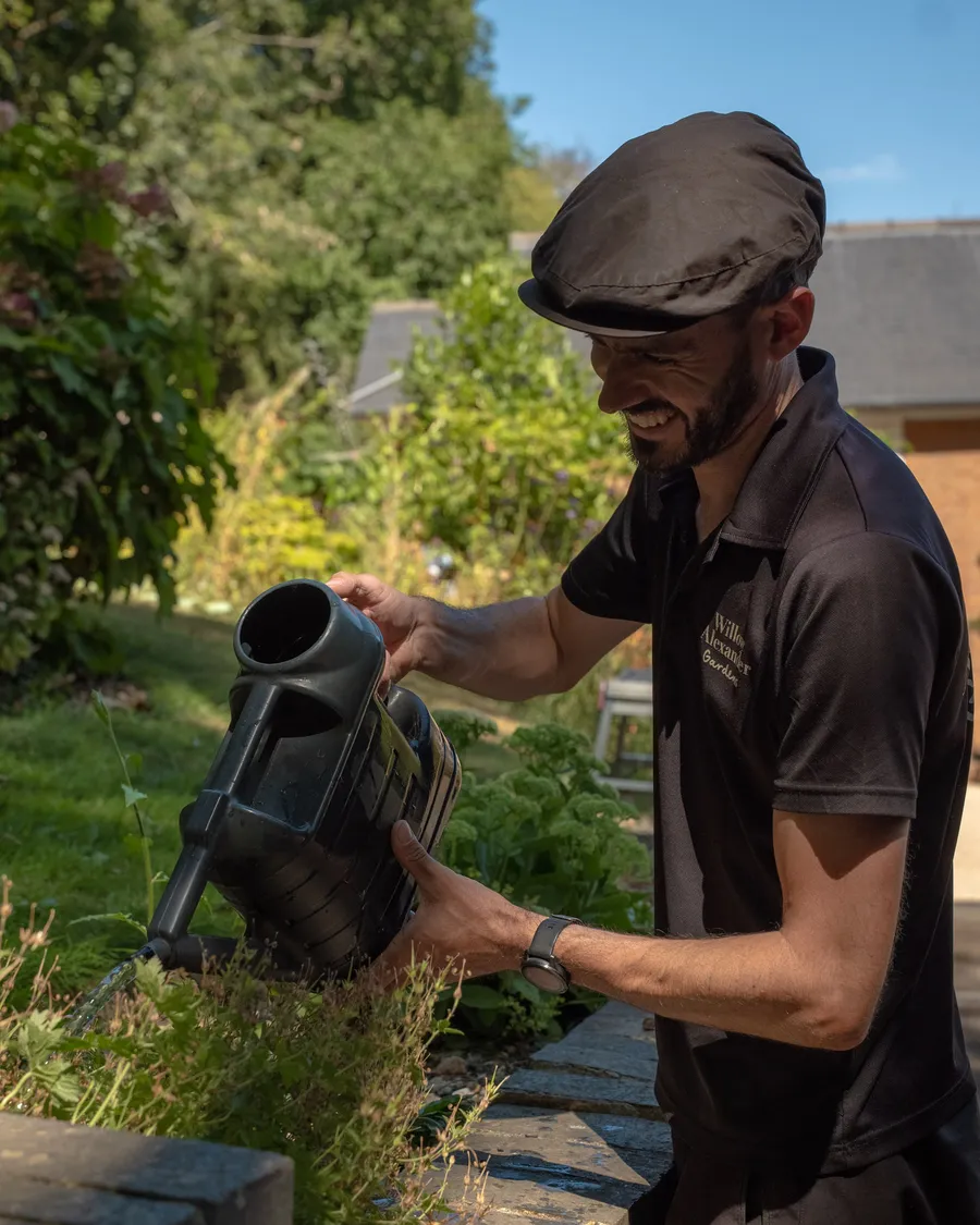 A Willow Alexander gardener tending a planted border