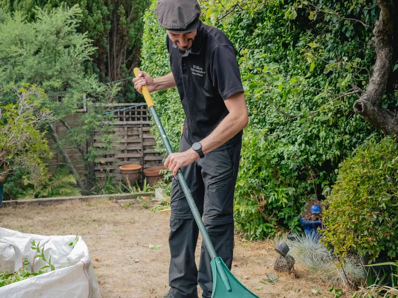 Garden Tidy