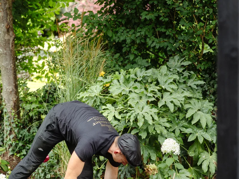 Planting