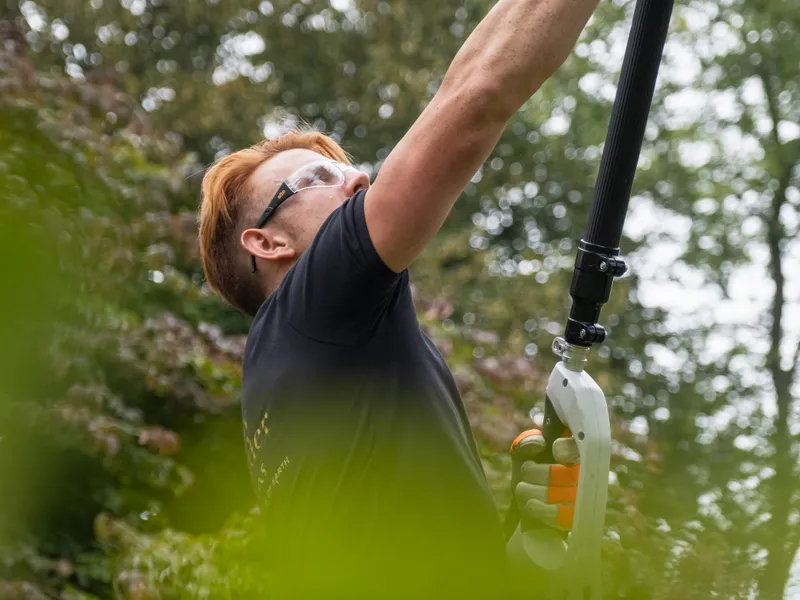 Tree Surgery